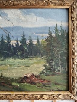 obraz LESNÍ MÝTINA, olej, sign. Trinkmoc - 4