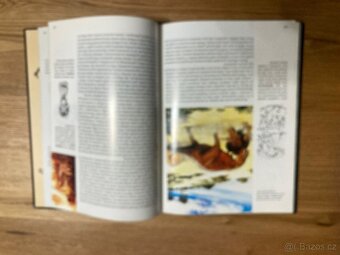 Velcí dinosauři - 4