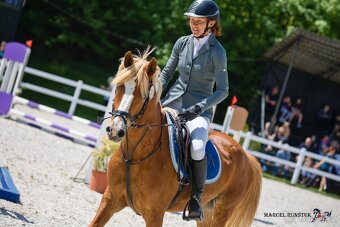 Pony B, klisna 12let - 4