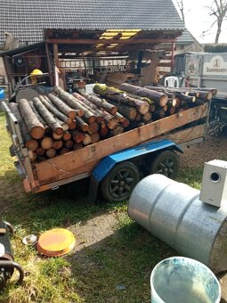 Kára na převoz zahradní techniky a vyvazecka dřeva - 4