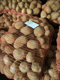 Brambory na bramboráky nebo kaši. - 4