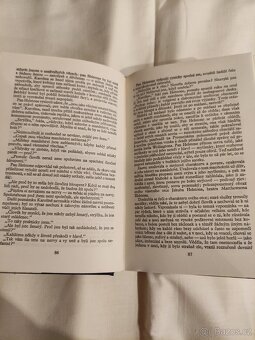 SHIRLEY - Charlotte Bronteová - 4