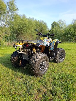 Can am renegade 500 - 4