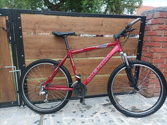 Kolo Merida Kalahari 590 - 4
