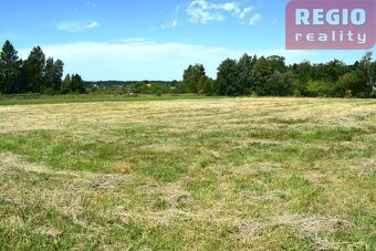 Prodej stavebního pozemku 2407m2 v Havířově Bludovicich - 4