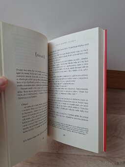 Příliš mnoho Kateřin - John Green - 4