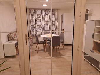 Pronájem bytu 2 /3/+1 - 4