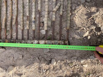 Bramborový pasy Fortschritt E671 - 4