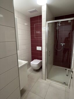 Pronájem bytu 1+KK se zahrádkou a parkováním - 4