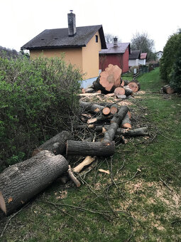 Jasan kulatina šíře 1200 mm - 4