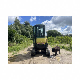 Mini rypaldo Yanmar vio25 - 2,5 tuny - 4