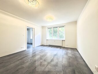 Pronájem bytu 1+1, 18000 kč, 39m2, Boleslavova, ev.č. N08094 - 4