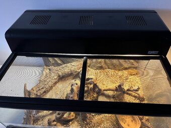 Terarium, terarko vcetne oscetleni - 4