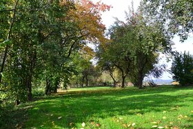 Pronájem stodoly/statku/svatba - 4