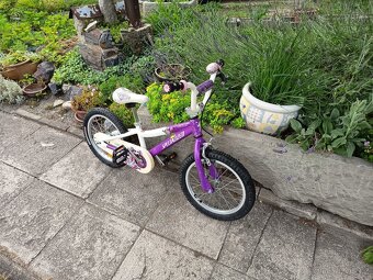 Specialized Hotrock 16 - 4