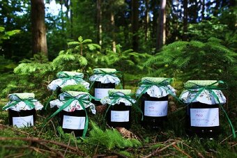 Med ze smrkových výhonků - 4