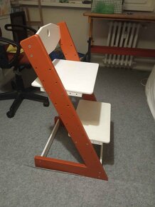 Dětská rostoucí židle Lucas Wood Style Alfa - 4