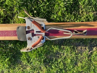 Retro běžky ERIKA "Skilpa" - 4