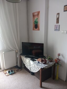 Pronájem bytu 1+1, Rybárny - Uh.Hradiště - 4