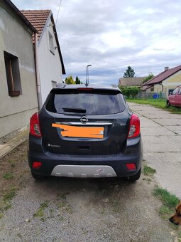 mokka - 4