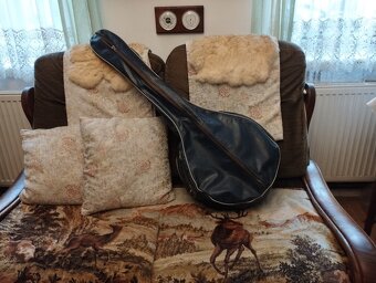 Banjo 6 strun - 4