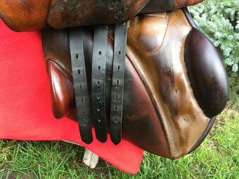 Stubben Siegfried - 4