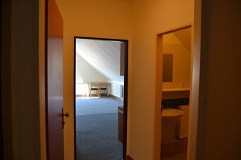 Dlouhodobý pronájem bytu 1+kk, Velké Přílepy, P-Z - 4