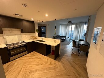 Apartman Dubaj - 4
