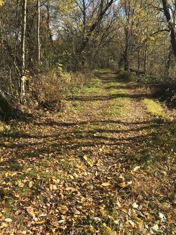 DVOJDŮM ČI TROJDŮM st.pozemek 2398 m² v obci Třemblat - 4