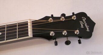 DOBRO Recording King - 4