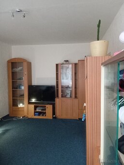 Prodáme byt 2+1 v Chodově - 4