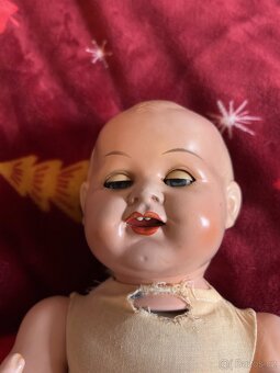 Panenka starožitná - 4