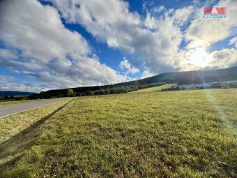 Prodej pozemku k bydlení, 43959 m², Králíky - 4