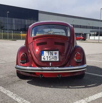 VW Brouk - 4