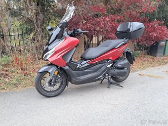 Honda forza 125 rok 2024 - 4