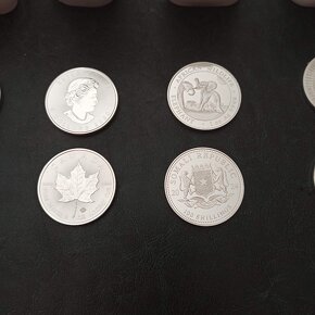 STŘÍBRO a ZLATO American Eagle, Maple, Panda a US Morgan atd - 4