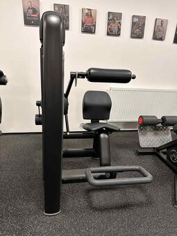 Prodej strojů Technogym Delts machine a Lower back - 4
