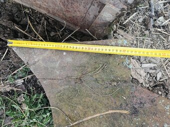 Pluh dvouradličny obracecí - 4