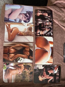 Obrazy, plechové cedule 20x30cm - 31ks - 4