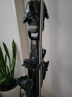 Prodám sjezdové lyže Fischer - 4