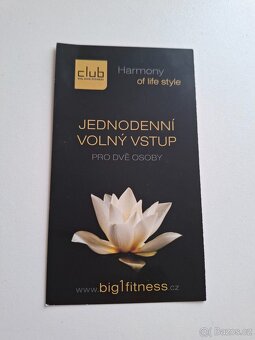 Jednodenní vstupenka do Big one fitness včetně wellness Brno - 4