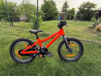SCOTT ROXTER 16 - 4