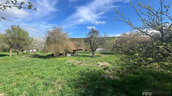 Prodej Rodinného domu s pozemkem 3004 m2 na samotě nedaleko  - 4