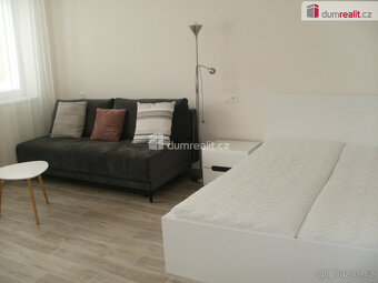 Pronájem bytu 1+1, 39 m2, Rožnov pod Radhoštěm - 4