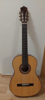 Kytara Martinez 4/4 - 4