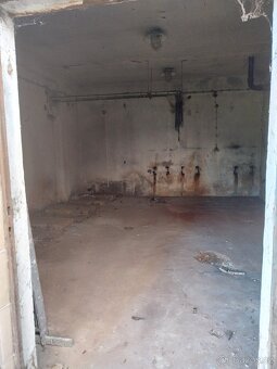 Pronajmu byvaly vymenik - 4