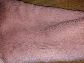 Bunda Lindex,vel.98 - 4