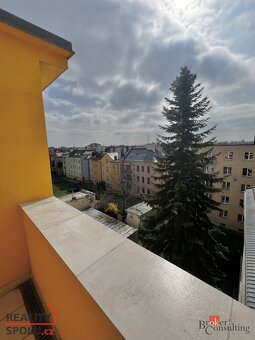 Prodej, byty/6 a více, 240 m2, Zacpalova 333/29, Předměstí, - 4