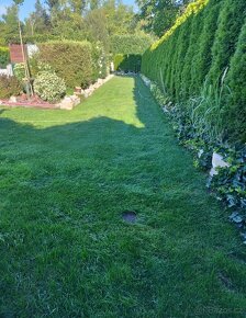 Zahrada v Černé za Bory 694 m2 - 4