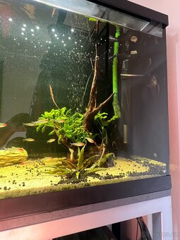 Akvarijní set 240l - 4